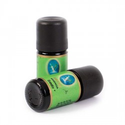 Sedir Yağı - Organik 5 ml 